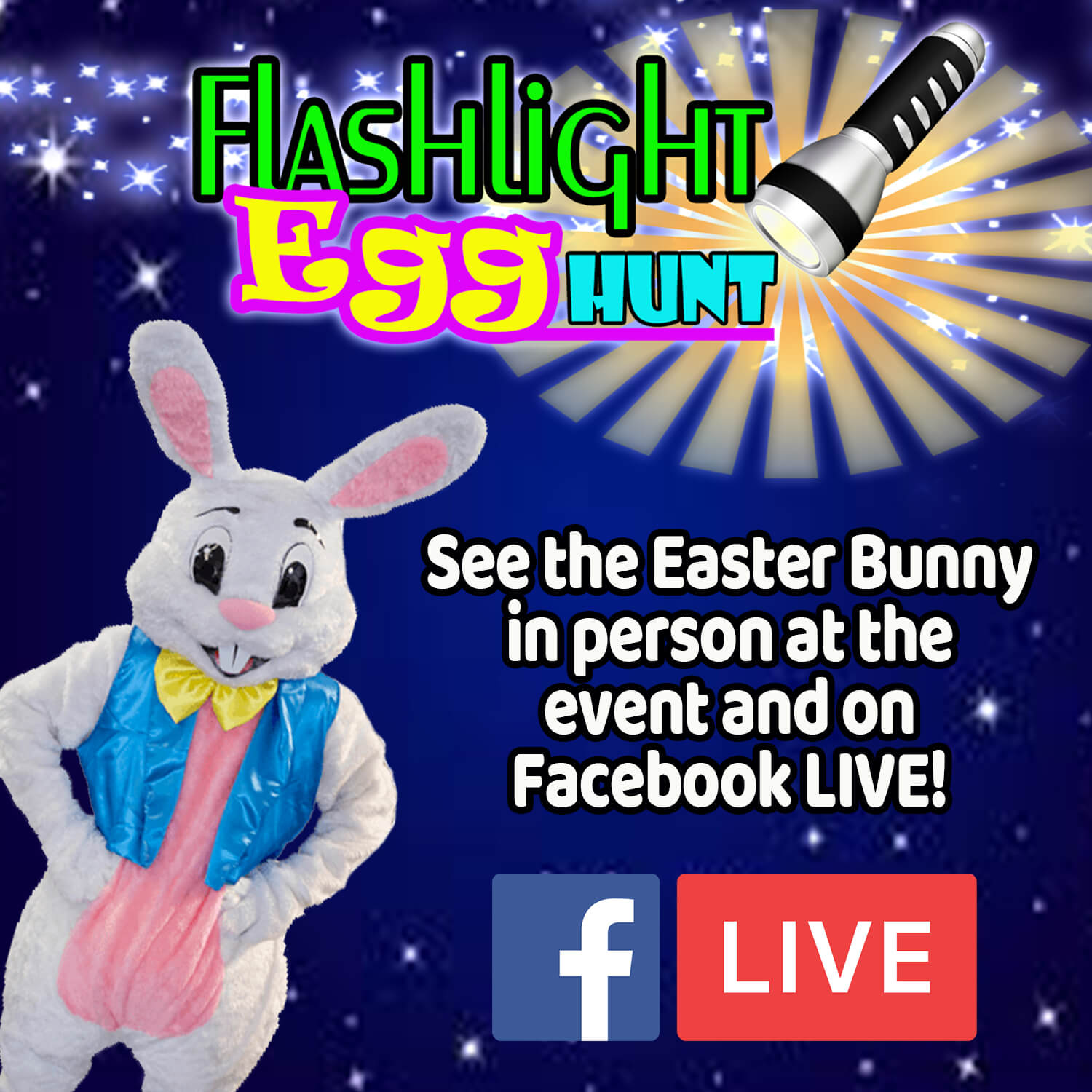 Flashlight Easter Egg Hunt Round Rock, Texas Movie