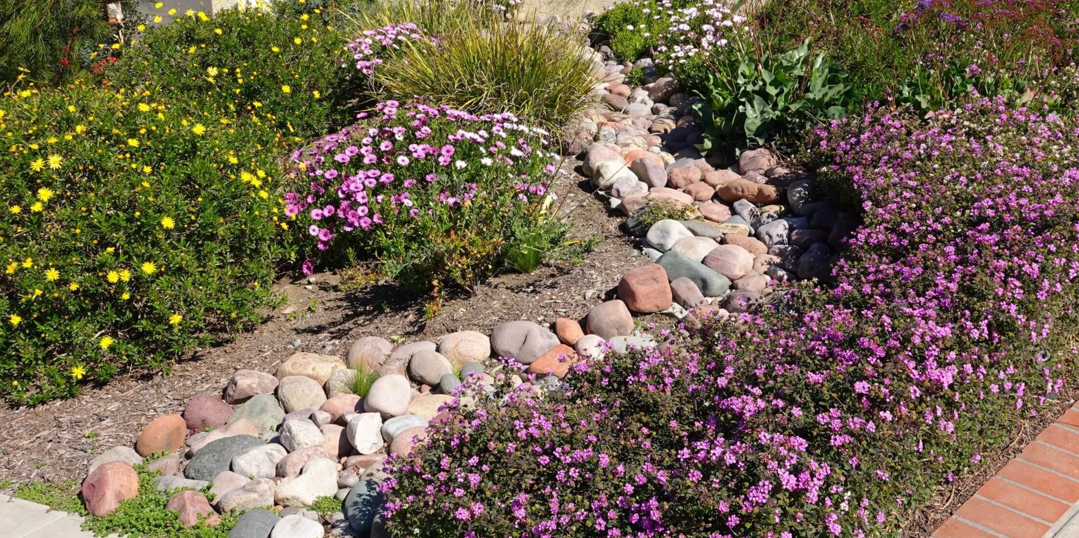 Slow the flow with rain gardens – Texas Living Waters Project