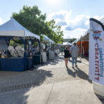 2024 Round Rock Arts Fest 24